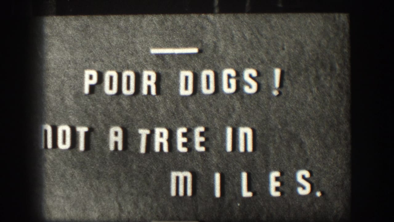 A home-movie title card reads 'Poor Dogs! Not a Tree in Miles,' adding a humorous note to the Kansas hunting footage.
