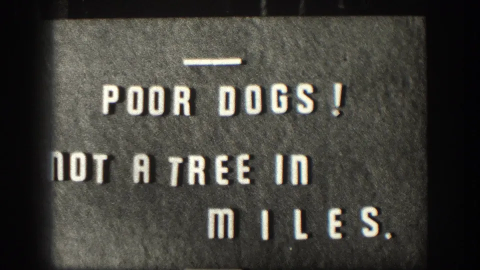 A home-movie title card reads 'Poor Dogs! Not a Tree in Miles,' adding a humorous note to the Kansas hunting footage.
