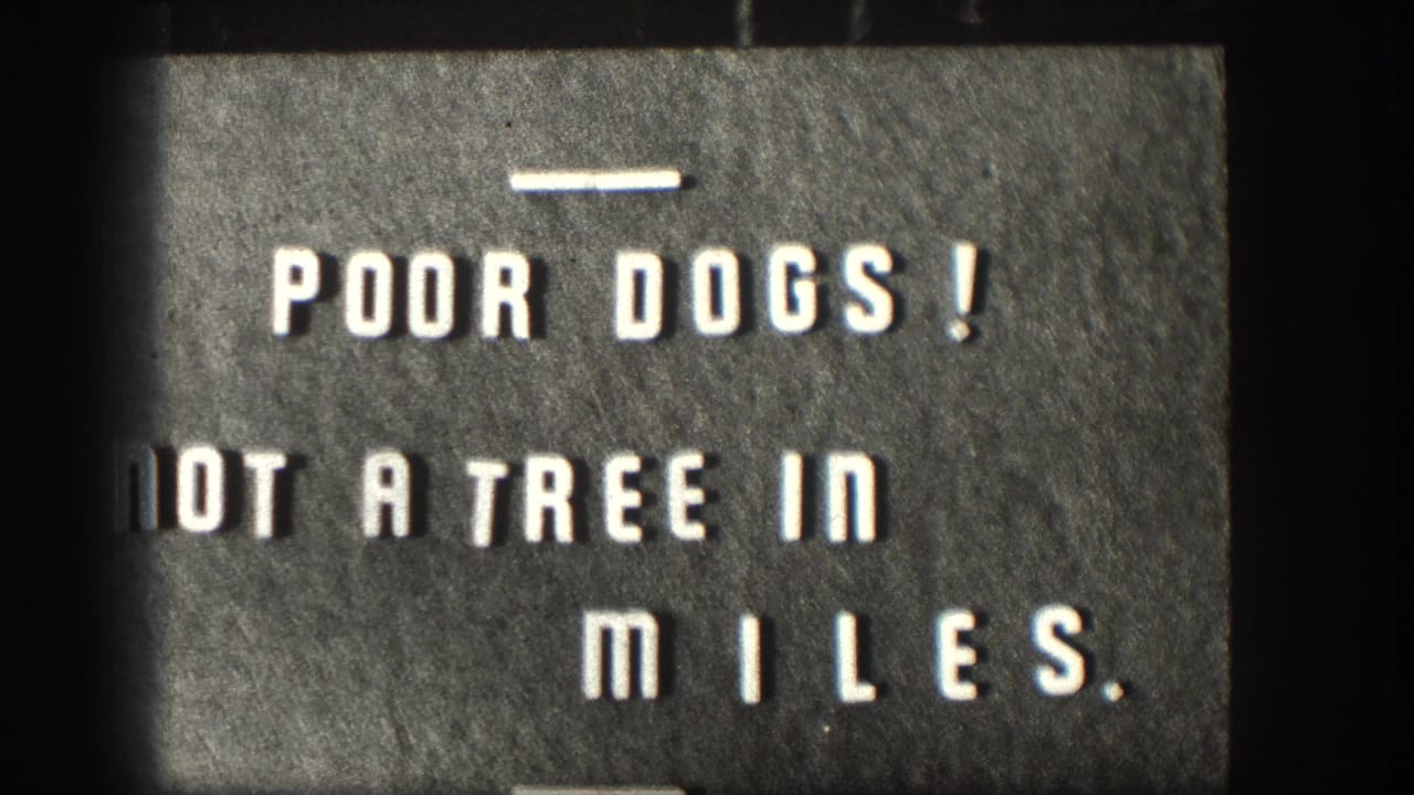 The 1958 Kansas home-movie title card remains on screen, reading 'Poor Dogs! Not a Tree in Miles' in white block letters.