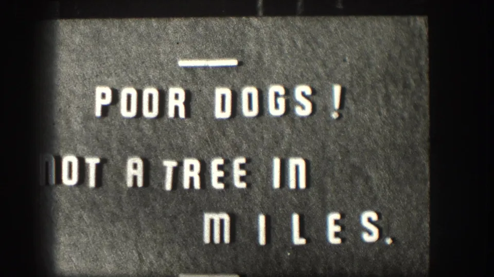 The 1958 Kansas home-movie title card remains on screen, reading 'Poor Dogs! Not a Tree in Miles' in white block letters.