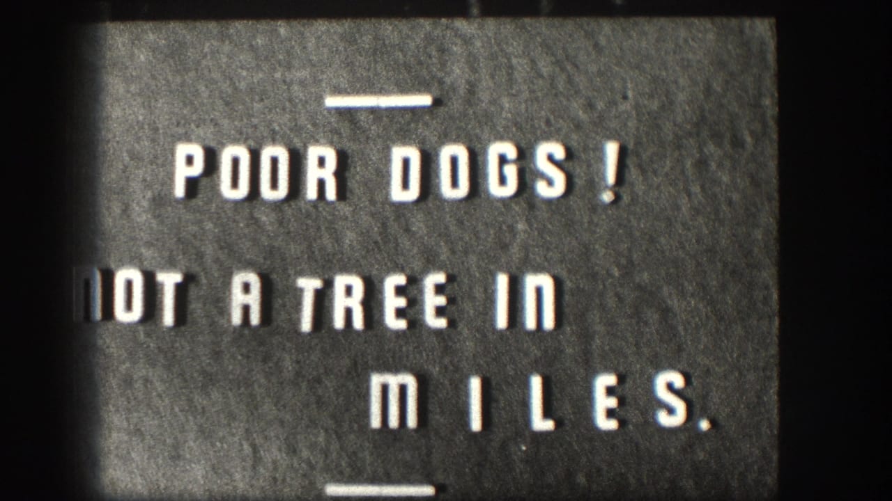 Title card reading “POOR DOGS! NOT A TREE IN MILES.”