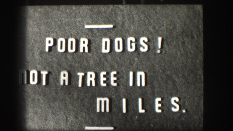 1958 Kansas home-movie title card with white block letters joking about no trees for miles.