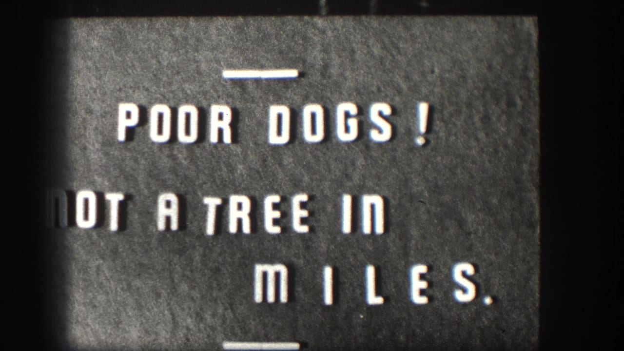 White block lettering on a dark title card reads “POOR DOGS! NOT A TREE IN MILES.”