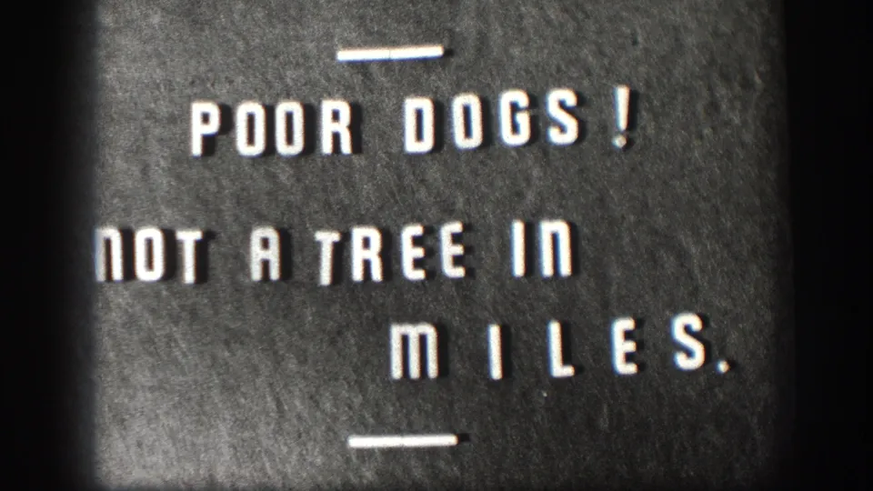 Cropped 8mm frame shows the humorous title card text about a treeless stretch of road.