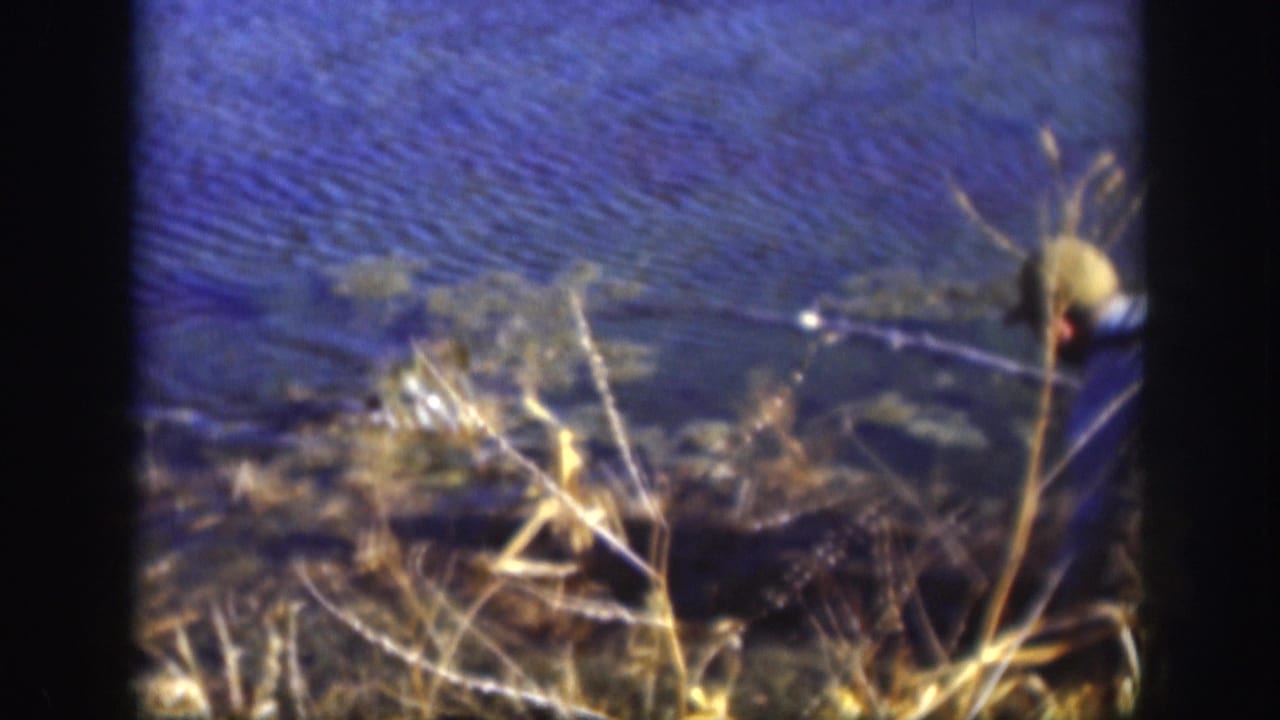 1958 Kansas home-movie frame with the person partly at frame edge near shoreline grass, water, and a long stick or branch.