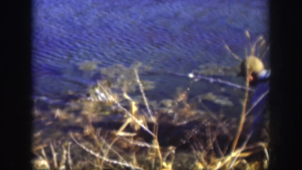 1958 Kansas home-movie frame with the person partly at frame edge near shoreline grass, water, and a long stick or branch.