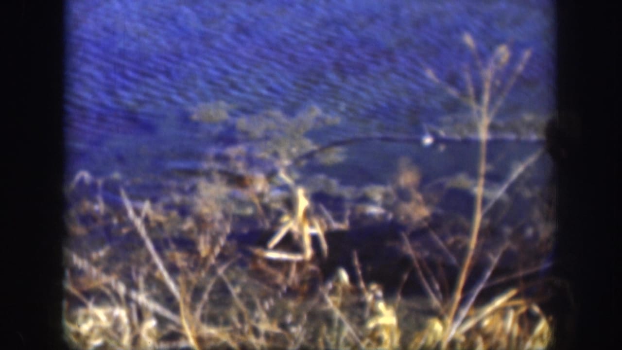 Kansas 8mm pond shoreline with rippling blue water, dry grasses, and weeds after the title card.