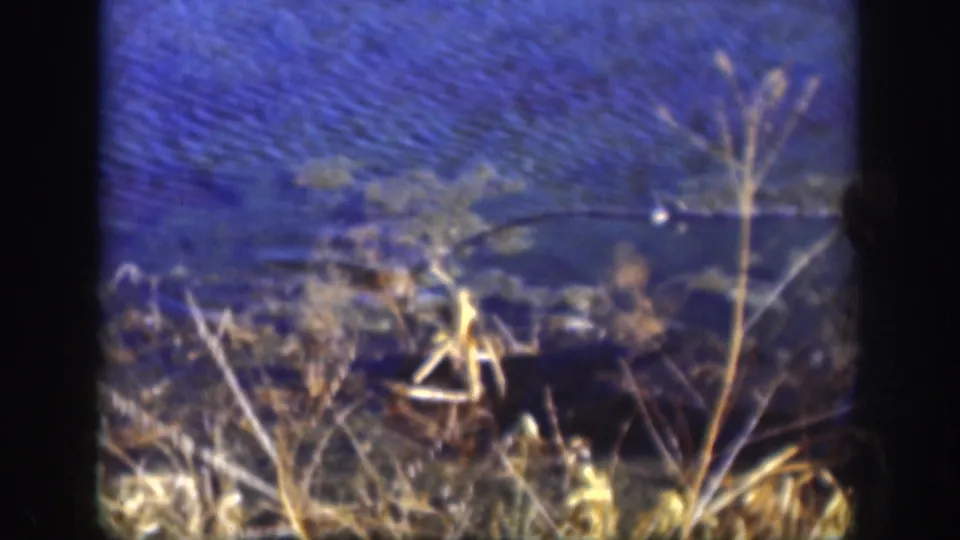 Kansas 8mm pond shoreline with rippling blue water, dry grasses, and weeds after the title card.
