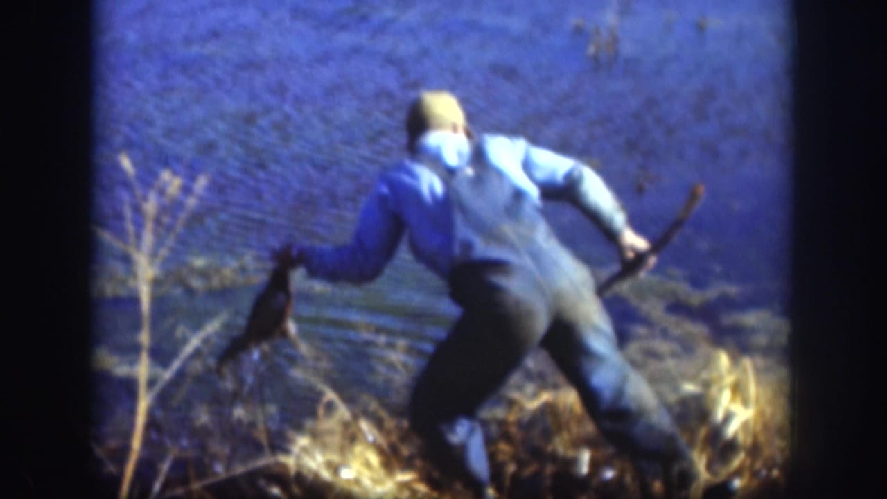 Kansas 1958 8mm frame showing a capped man at the lakeshore using a long pole to pull a duck from the water or reeds.