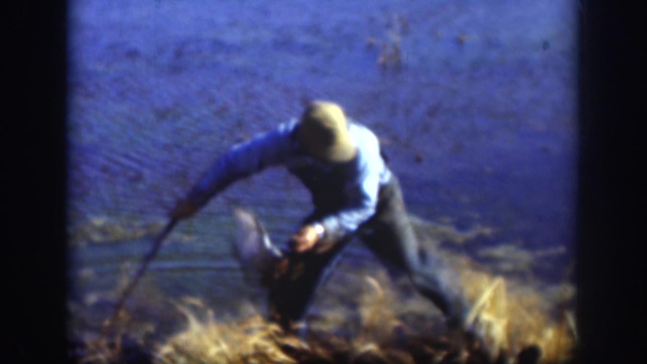 A man in overalls bends in a marshy Kansas field, reaching toward a bird near blue-toned water in 1958 8mm footage.
