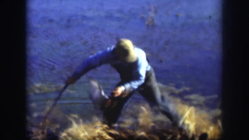 A man in overalls bends in a marshy Kansas field, reaching toward a bird near blue-toned water in 1958 8mm footage.