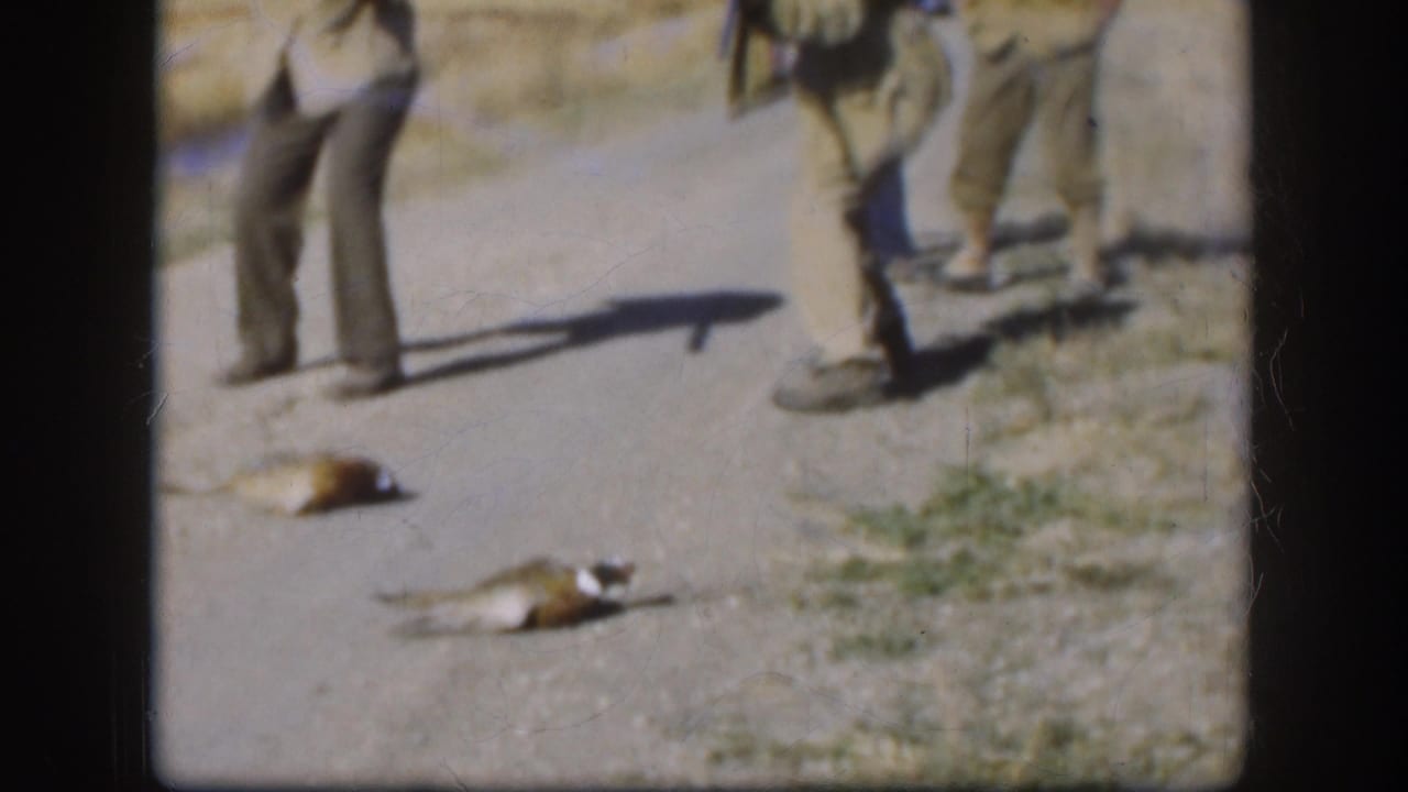 In 1958 Kansas home-movie footage, adult men stand on a rural road beside two dead ducks, with one man holding a long gun.