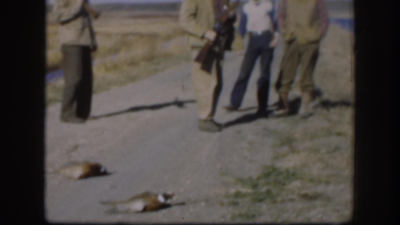 Several adult men stand near two dead ducks on a Kansas rural road, with a long gun visible in the group.
