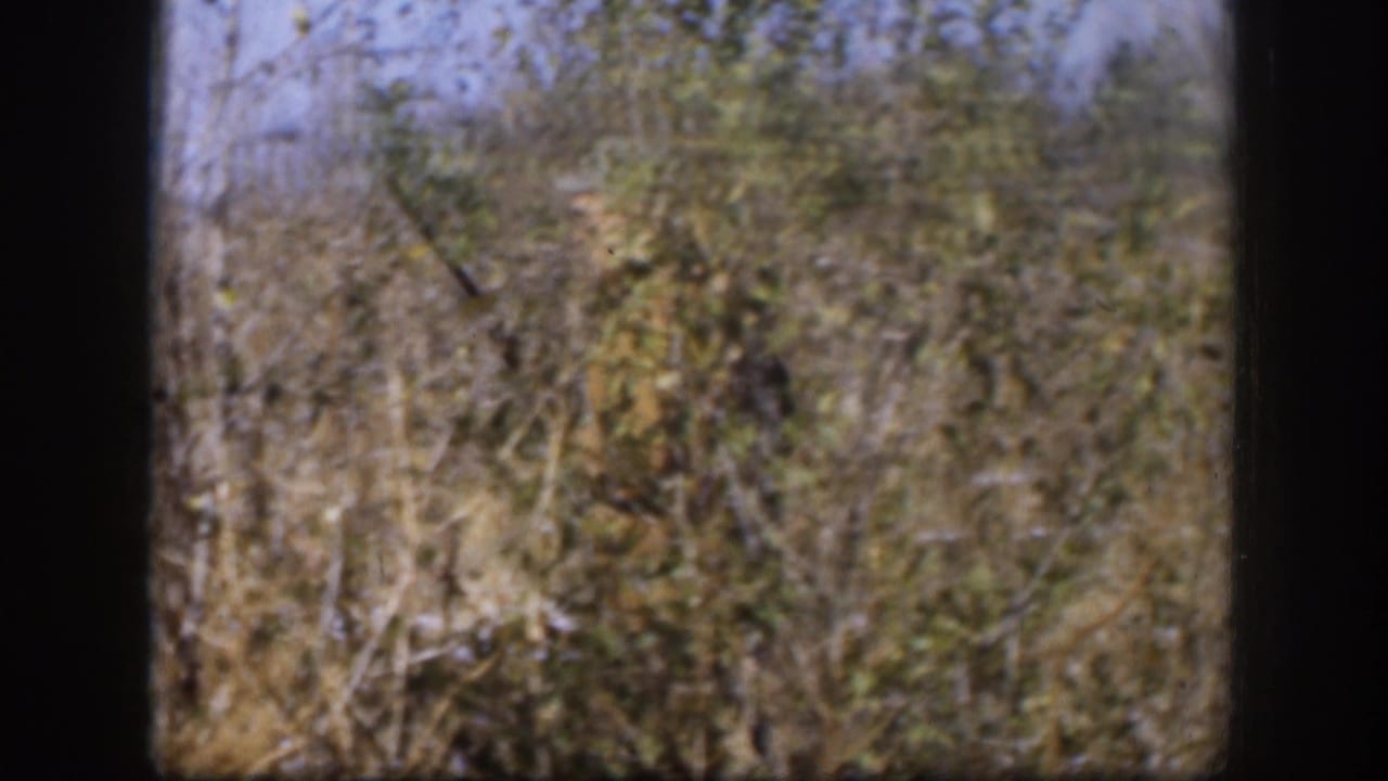 1958 Kansas home-movie frame with a partially obscured hunter carrying a shotgun through dense brush.