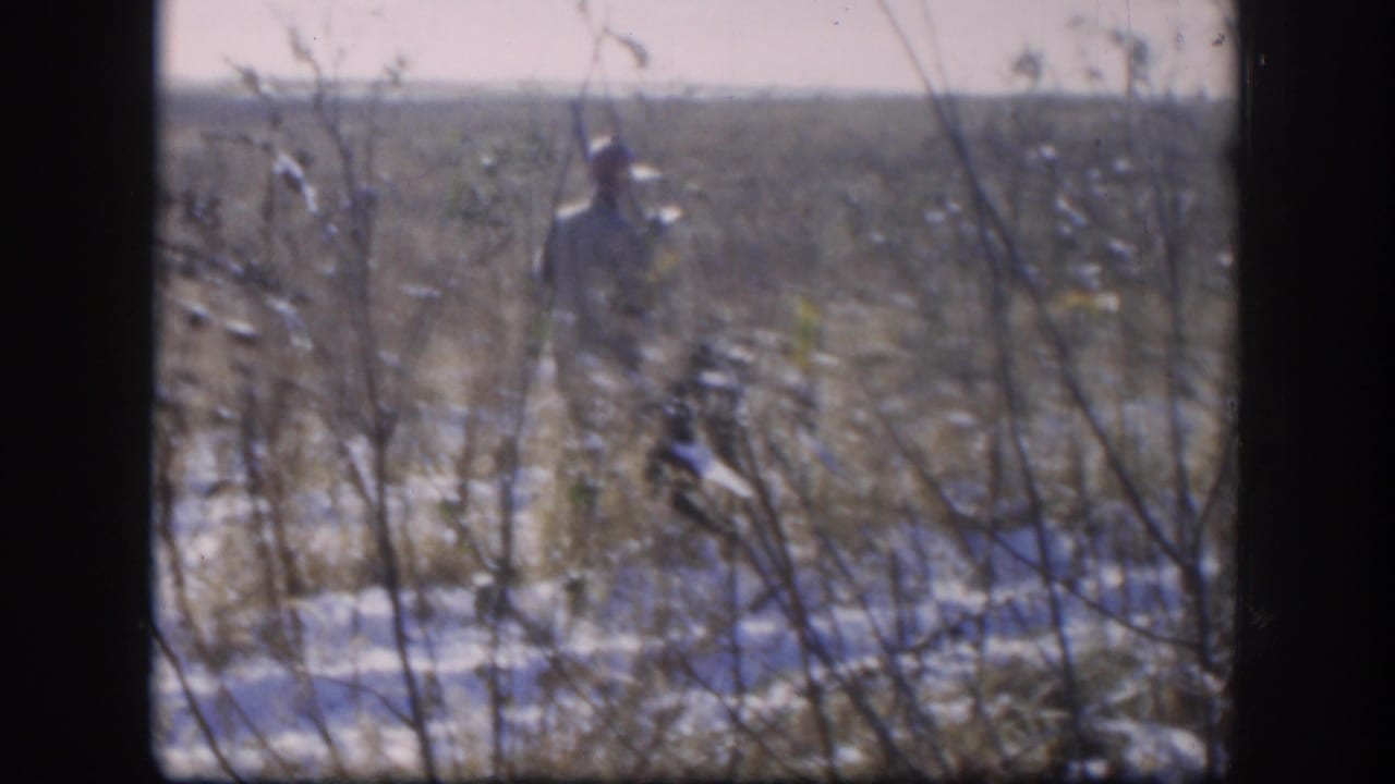 1958 Kansas home-movie frame showing thin branches, snow patches, and an open field beyond the wooded edge.