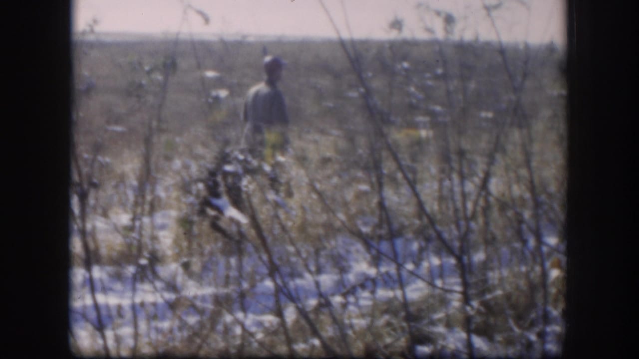 Man in a snowy field carrying a rifle among tall grass and bare brush.