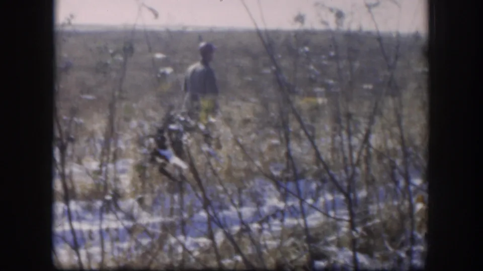 Adult hunter in 1958 Kansas walks through a snowy rural field with a rifle, partly obscured by tall grass and branches.