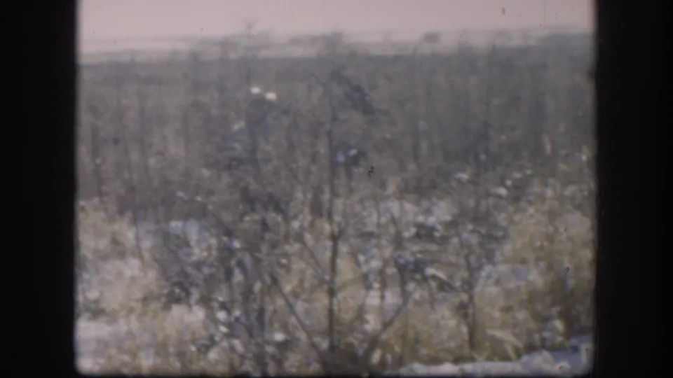 The hunter is distant and partly obscured by bare brush in a snowy Kansas field, with soft 8mm exposure and muted color.