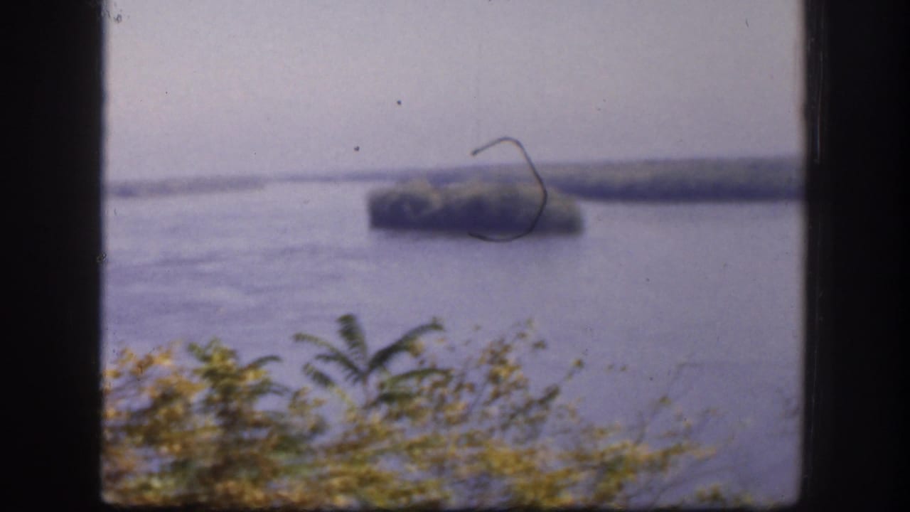 The final frame holds mostly on the river view, with shrubs in front and a tree-covered island in the distance.