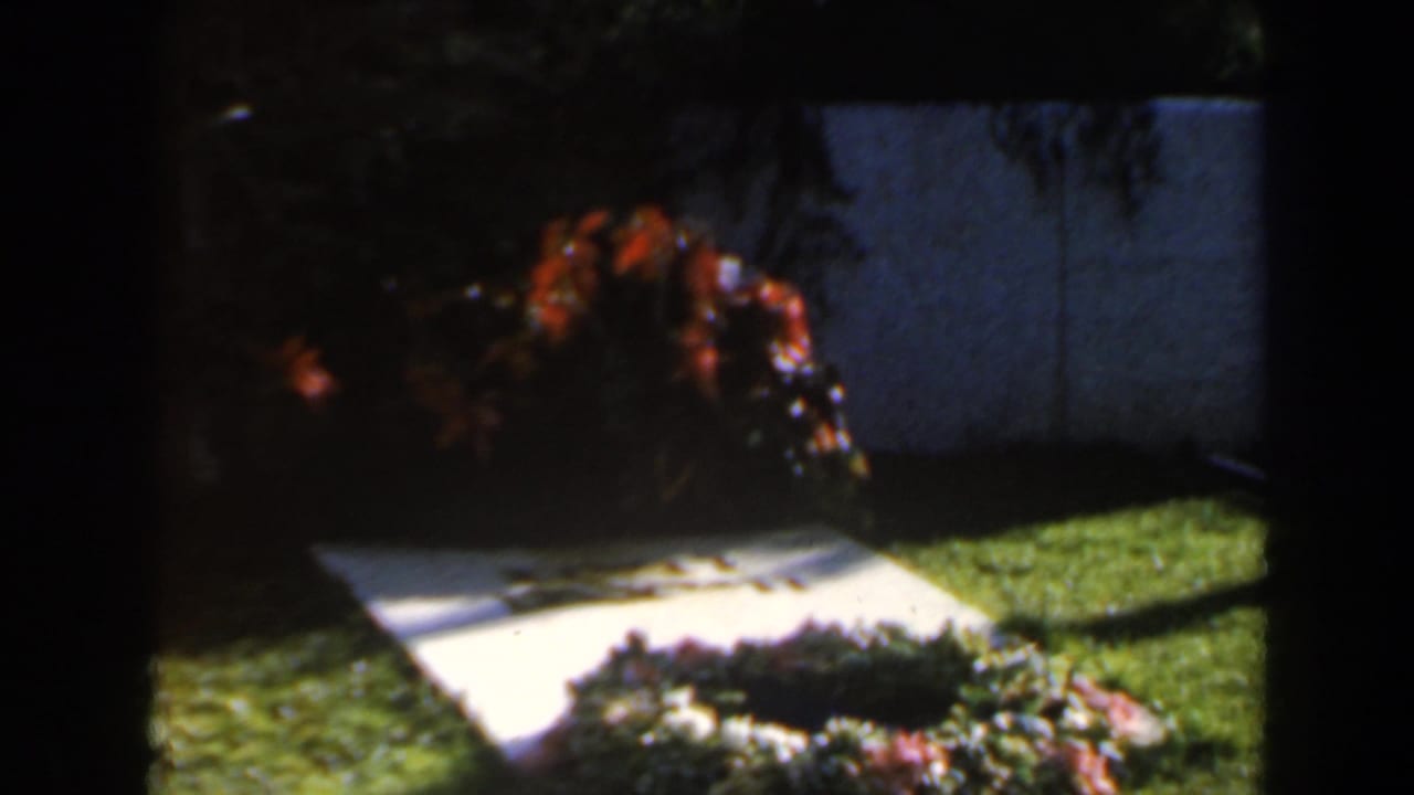 1960 Israel 8mm frame showing a sunlit grassy yard with a white stone marker, shrubs, and red-orange flowers in soft focus.