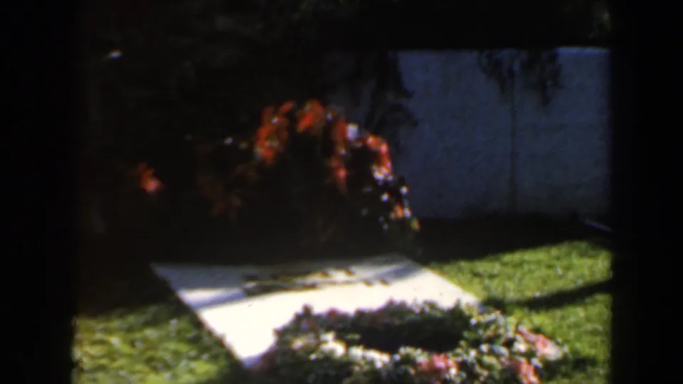 1960 Israel 8mm frame showing a sunlit grassy yard with a white stone marker, shrubs, and red-orange flowers in soft focus.