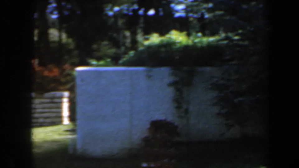 1960 Israel home-movie frame showing a white garden wall or marker, surrounding shrubs, lawn, flowers, and dark tree cover.