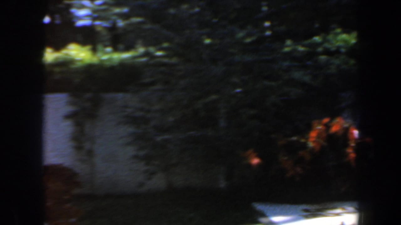 1960 Israel cemetery footage showing grass, shade, a pale stone wall, and red flowering plants around a grave area.