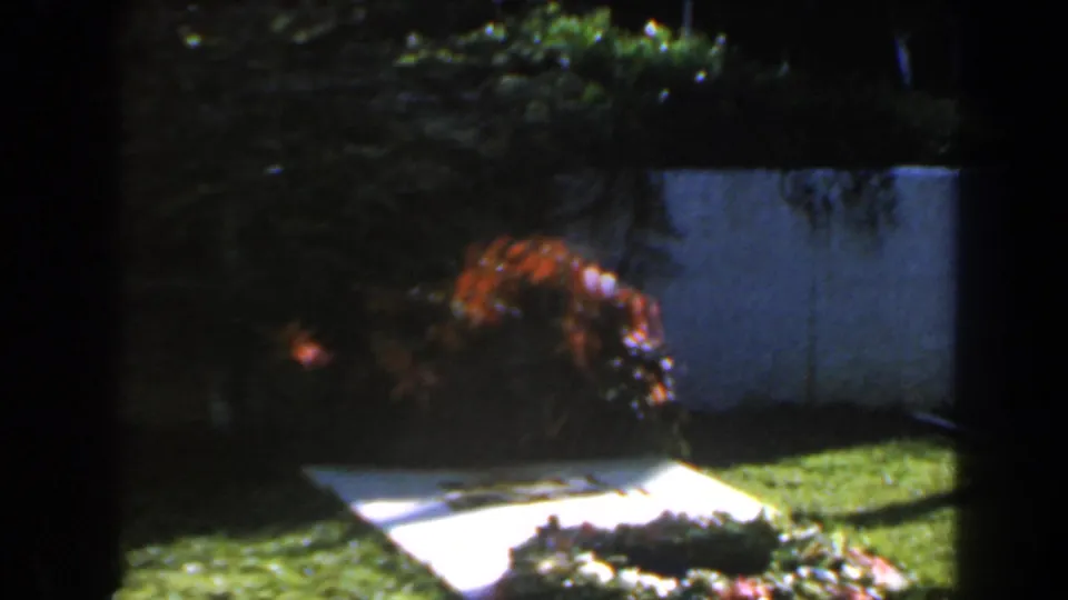 1960 Israel cemetery frame with a pale grave tablet or marker, red flowers, green grass, and sunlit stonework.