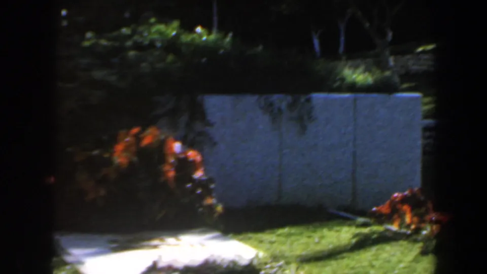 1960 Israel cemetery view with a pale wall, trimmed grass, red flowering plants, and shaded vegetation.
