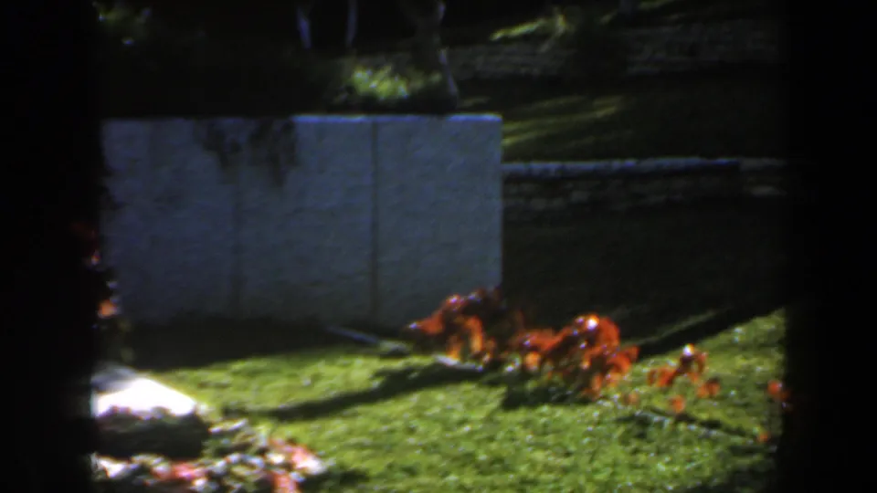 1960 Israel cemetery frame showing grass, red flowers, a pale wall, and garden planting around a grave site.
