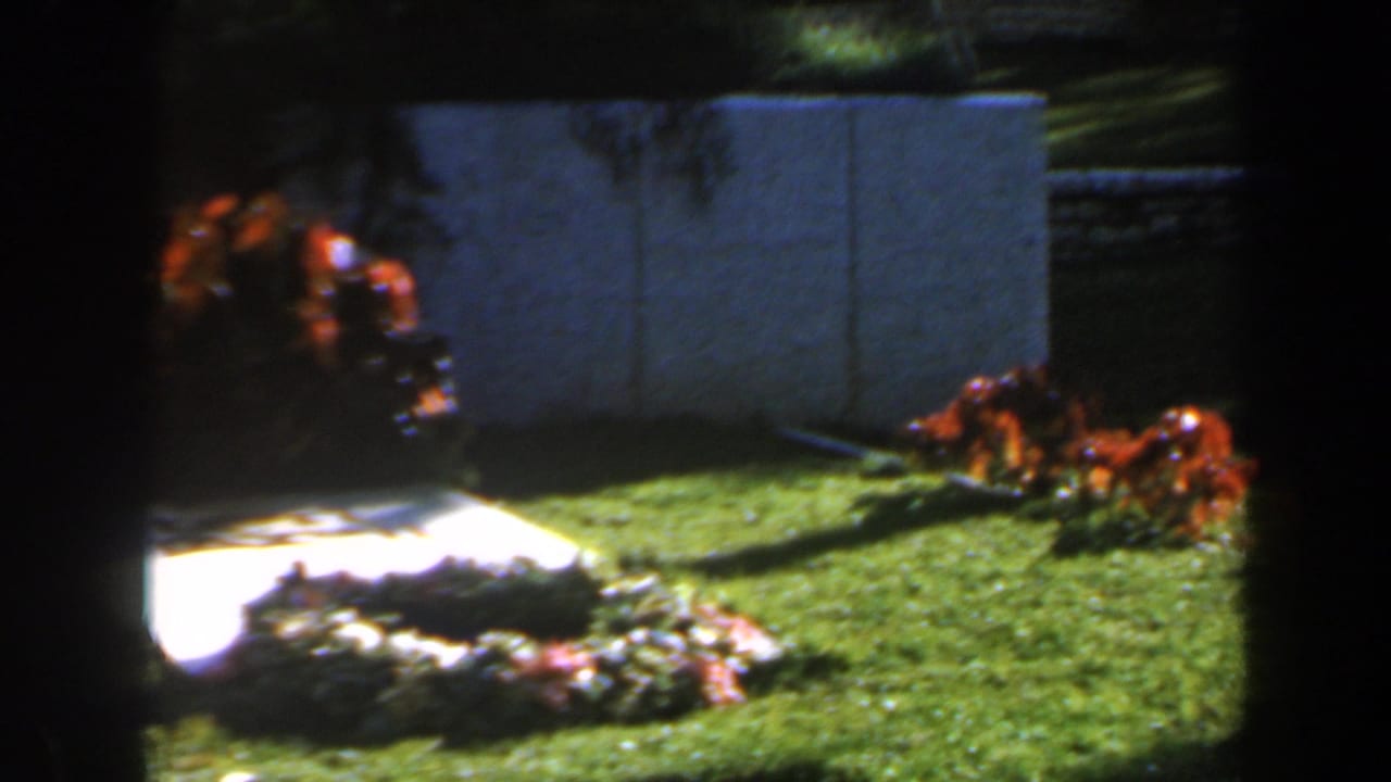 Sunlit garden lawn with flowers, white wall, and a wreath-like arrangement near a paved path.