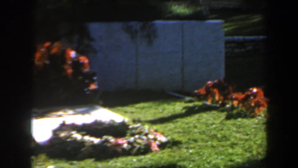1960 Israel 8mm frame showing a sunlit garden with green lawn, flowering shrubs, a white wall, and a wreath-like floral arrangement.