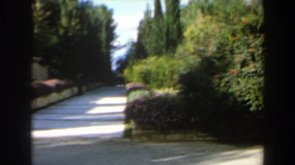 1960 Israel 8mm frame looking down a sunlit garden walkway bordered by shrubs, flowers, and tall narrow trees.
