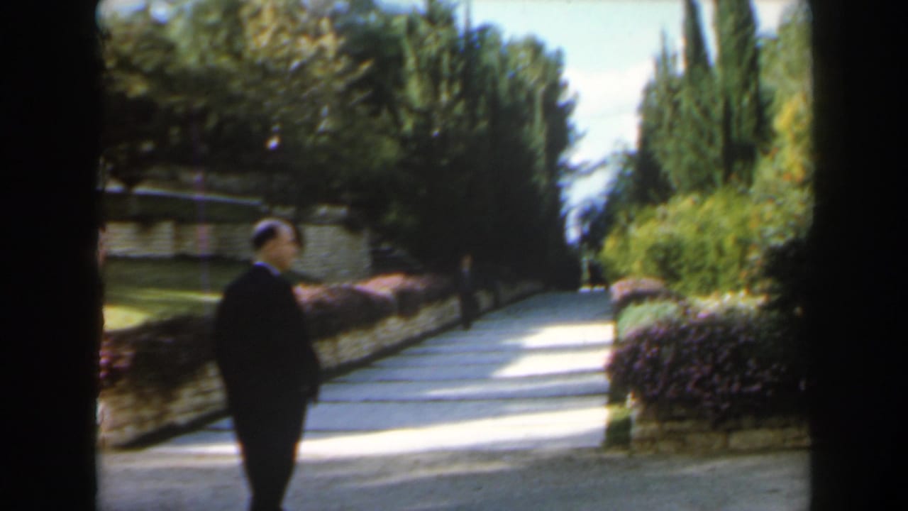 1960 Israel 8mm frame showing a man in a dark suit near a pale garden path with hedges, stone edging, and tall trees.