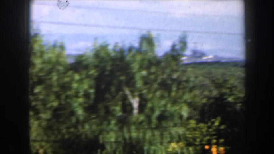 1960 Israel 8mm frame with blurred roadside trees, distant hills, and dark vertical vehicle or window bars.