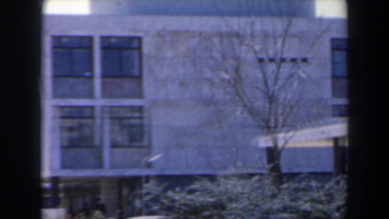 1960 home-movie frame from Israel showing a concrete building facade with large windows, winter-bare tree branches, shrubs, and dark frame borders.