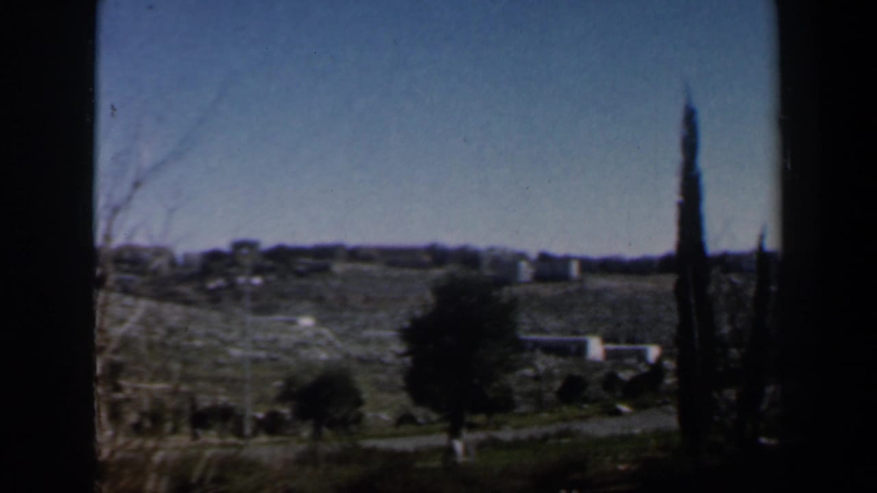 1960 Israel 8mm view of dry open land, sparse trees, distant pale buildings, and a tall cypress-like tree seen through dark framing.