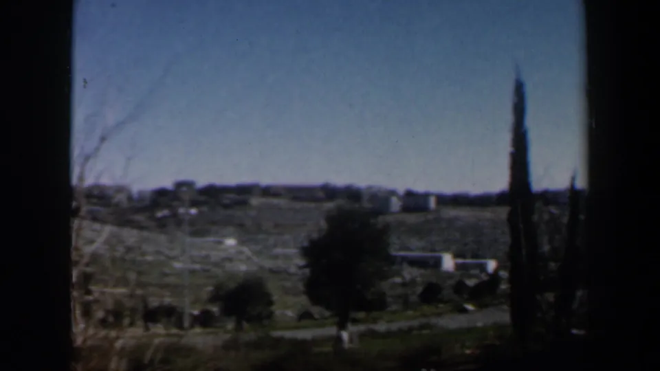 1960 Israel 8mm view of dry open land, sparse trees, distant pale buildings, and a tall cypress-like tree seen through dark framing.
