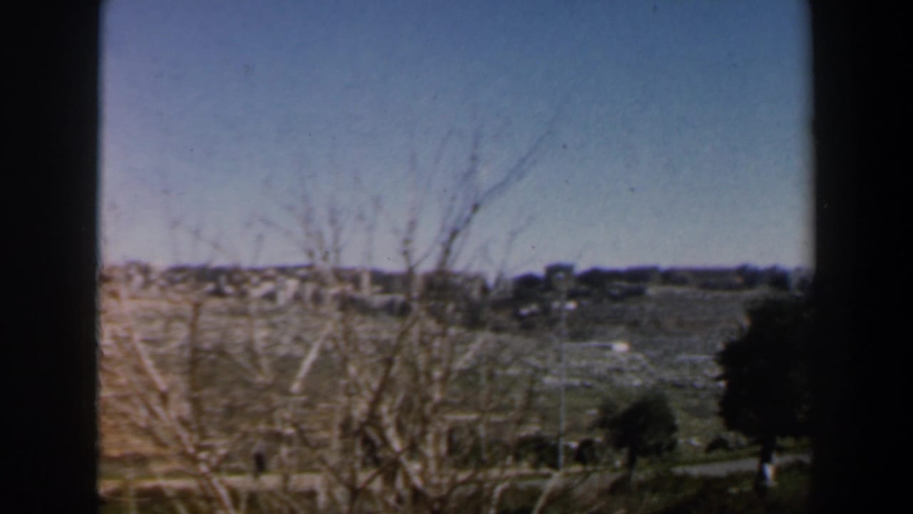 Open dry field with leafless branches in the foreground and pale buildings along a distant ridge.