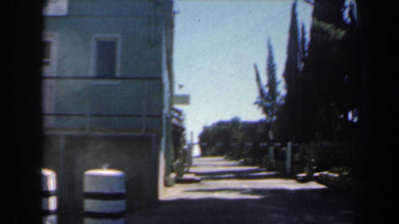 Narrow sunlit road through a gate area with striped bollards and trees.