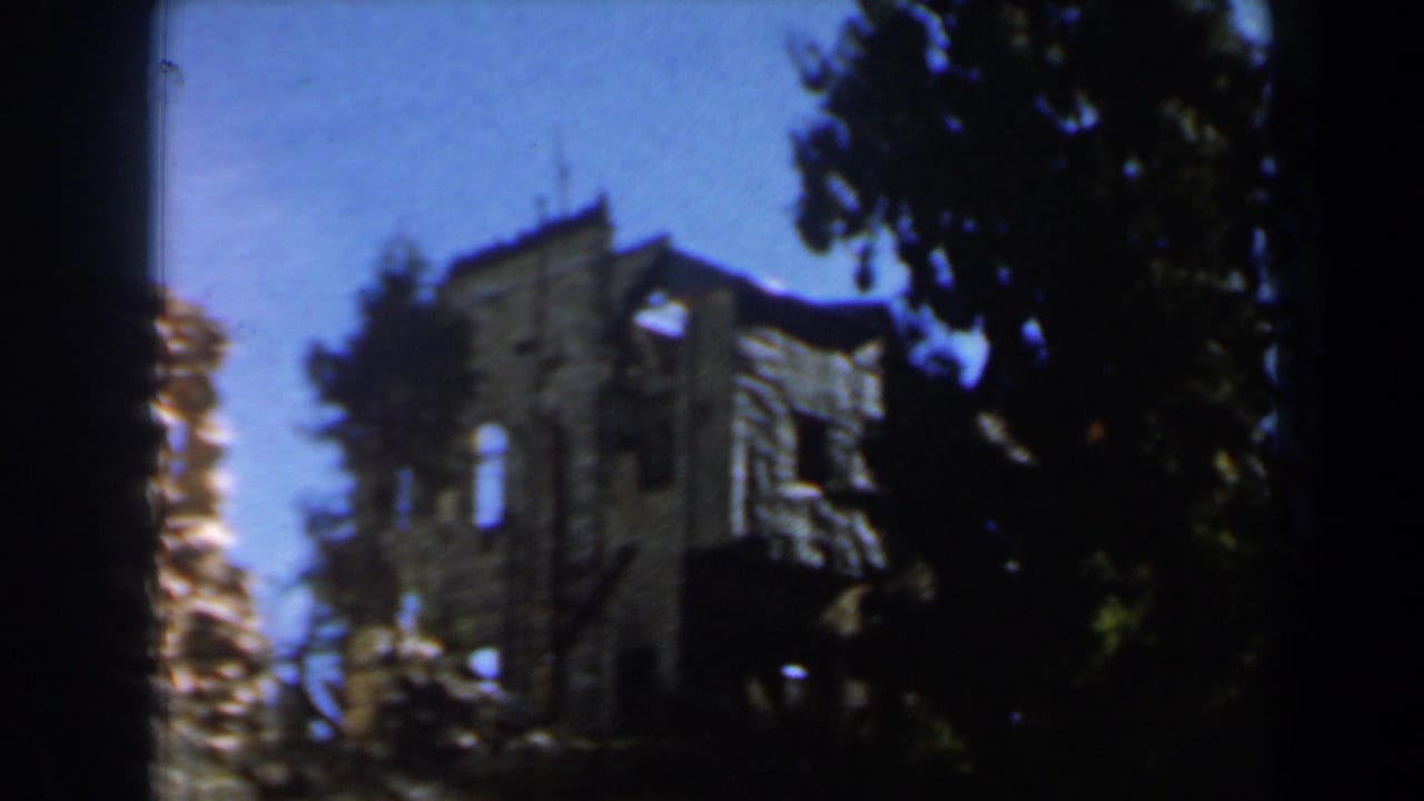 Dark tree trunk divides a view of stone ruins and leafy branches against sky.