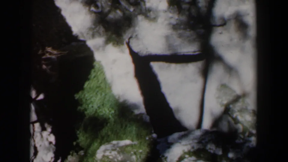 1960 Israel home-movie frame showing sunlit stone blocks, grass, shadow, and a partial figure near the edge of the frame.