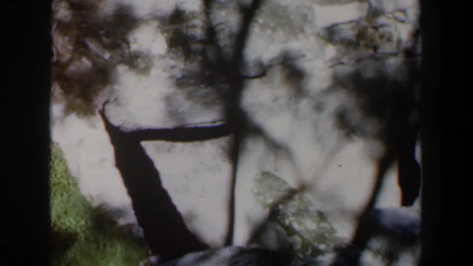 1960 Israel 8mm frame showing pale snowy ground, rocks, and tree shadows viewed through dark vertical framing.