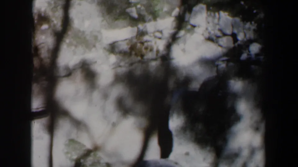 Soft 8mm view in Israel, 1960, with tree forms and rocky pale terrain partly blocked by a dark vertical frame.