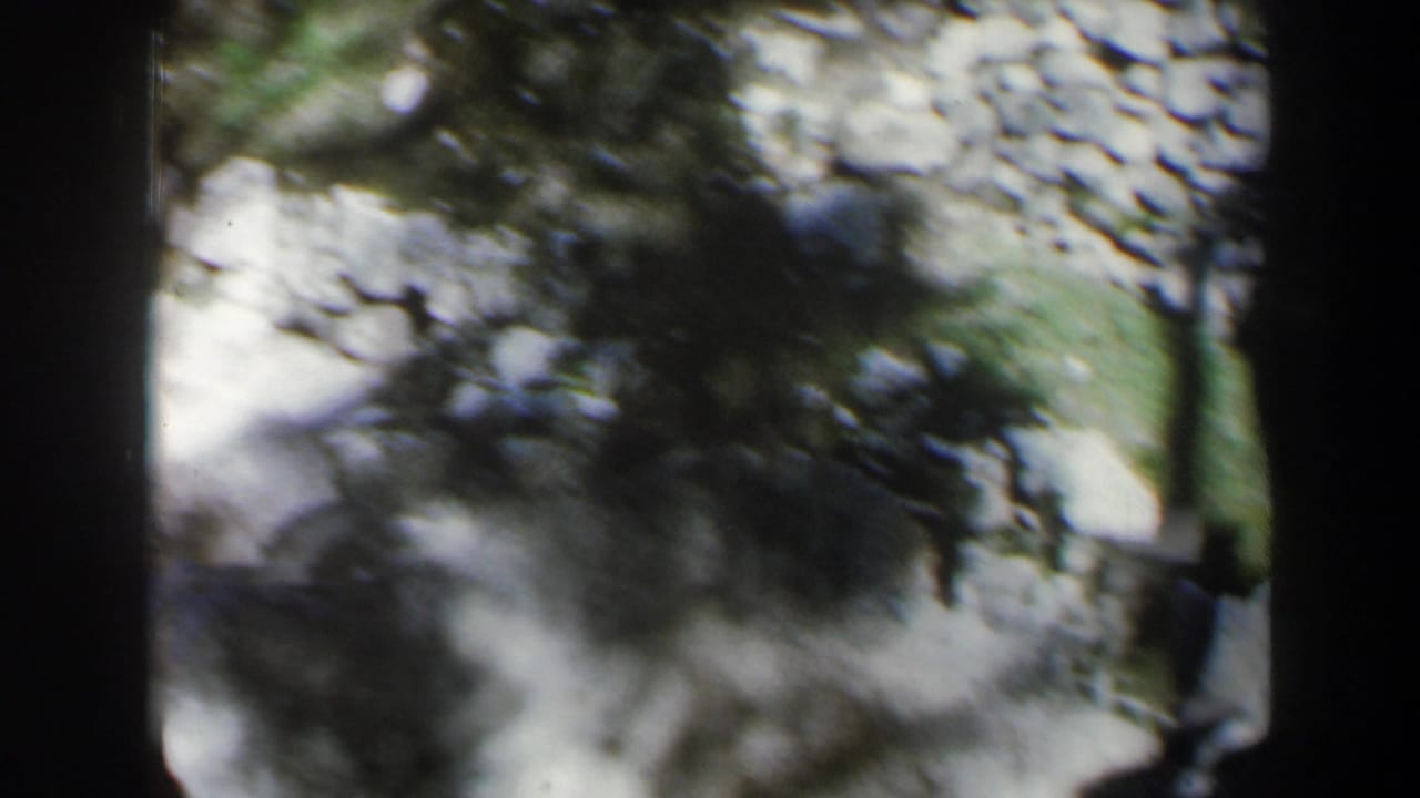 1960 Israel 8mm frame with a high-angle view of rocky ground, tree shadows, and soft, motion-blurred detail.
