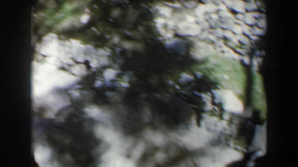 1960 Israel 8mm frame with a high-angle view of rocky ground, tree shadows, and soft, motion-blurred detail.