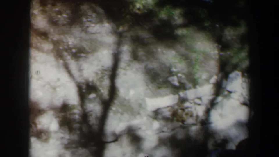 1960 Israel 8mm frame showing pale rock, dark trees, small greenery patches, and a possible path or ledge from above.
