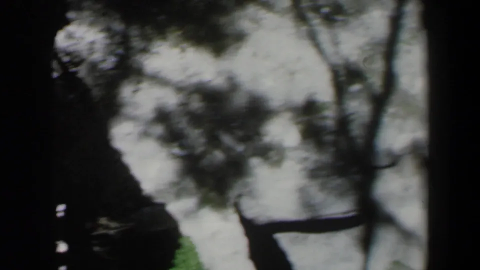 1960 Israel 8mm frame with pale cliffside surfaces, dark tree shadows, and a straight ledge or path edge near the bottom.