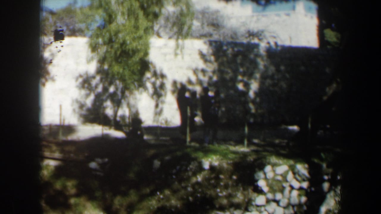 Silhouetted people stand near a white garden wall under trees.