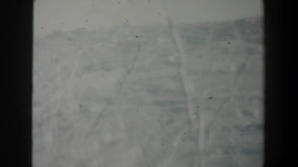 1960 Israel 8mm frame with a blurred open landscape, faint pale branches, and dark film or window framing.